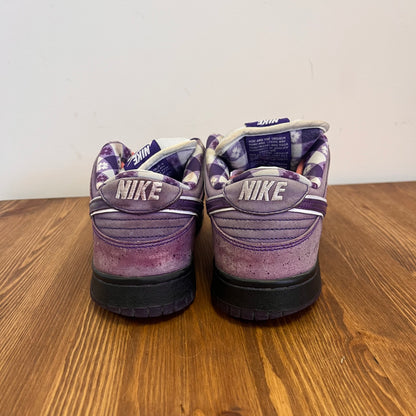 NIKE DUNK LOW SB PURPLE LOBSTER UK6 (USED)